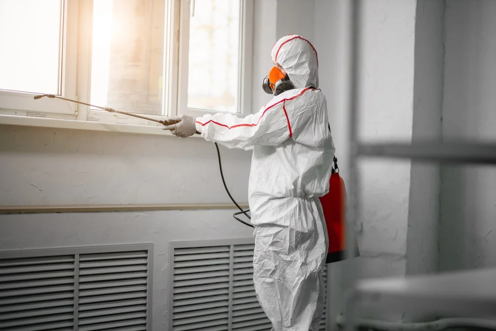 Professional mold remediation services in Hubbard, OH